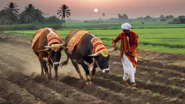 The Power of Buffalo Ghee: A Nutrient-Rich Superfood