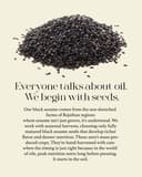 Wood-Pressed Black Sesame Oil thumbnail 2